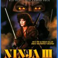 Ninja III: The Domination