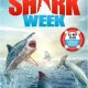 Shark Week – Jawsome Encounters