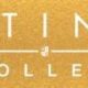 Destiny Collection announced from Activision/Bungie