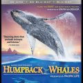 IMAX: Humpback Whales