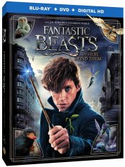 Fantastic Beasts announced for March release on 4K/Blu-ray/DVD/DigitalHD