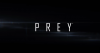 Prey release worldwide May 5th, 2017