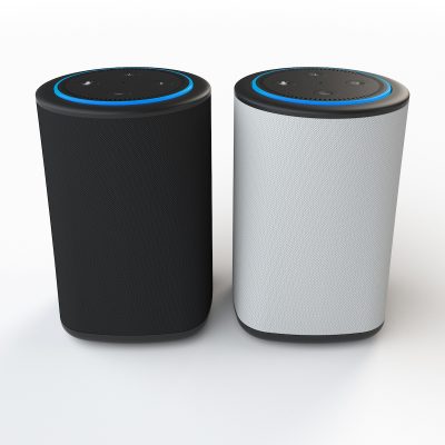 Vaux cuts the cord on the Amazon Echo Dot