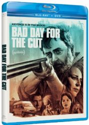 This bad day will make yours a good one!