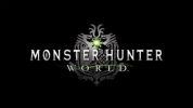 Monster Hunter: World Arrives August 9th​​​​​​​ on Steam!