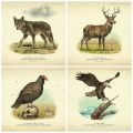 Red Dead Redemption 2 bringing the wildlife to the gamer
