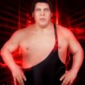 WWE 2K19 gets more roster reveal