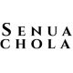 Senua’s Scholarship