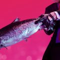 Hitman 2