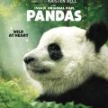 Pandas (IMAX 4K)