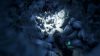 Blowfish Studios and Sky Machine Studios unveiling Winter Ember at L.A. Comic-Con
