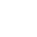 F1 2020 bringing a ‘My Team’ mode to play