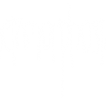 Metamorphosis Review