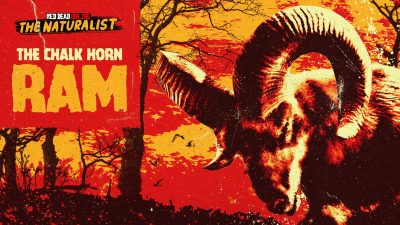 Red Dead Online announces the Legendary Rams Trio, on Xbox One, PC and Stadia, New Fossil Collections, and more