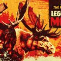 Red Dead Onlines reports sightings of Legendary Moose grazing and a massive reward