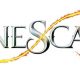 Runescape adds new update to distraction and diversion gamemode