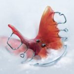 The Suicide of Rachel Foster