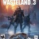Wasteland 3
