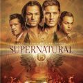 Supernatural: The Fifteenth and Final Season