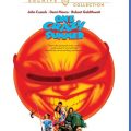 One Crazy Summer
