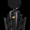 King Bee II Review