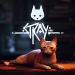 Stray Review (Nintendo Switch)