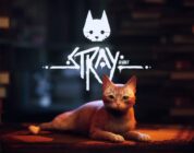 Stray Review (Nintendo Switch)