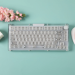 Gaming Peripheral Double Feature Review: KiiBOOM Phantom 81 V3 & Sweet Paw Keycap Set