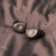 Kiwi Ears Septet IEM Review