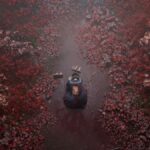 Silent Hill f Review (PS5)