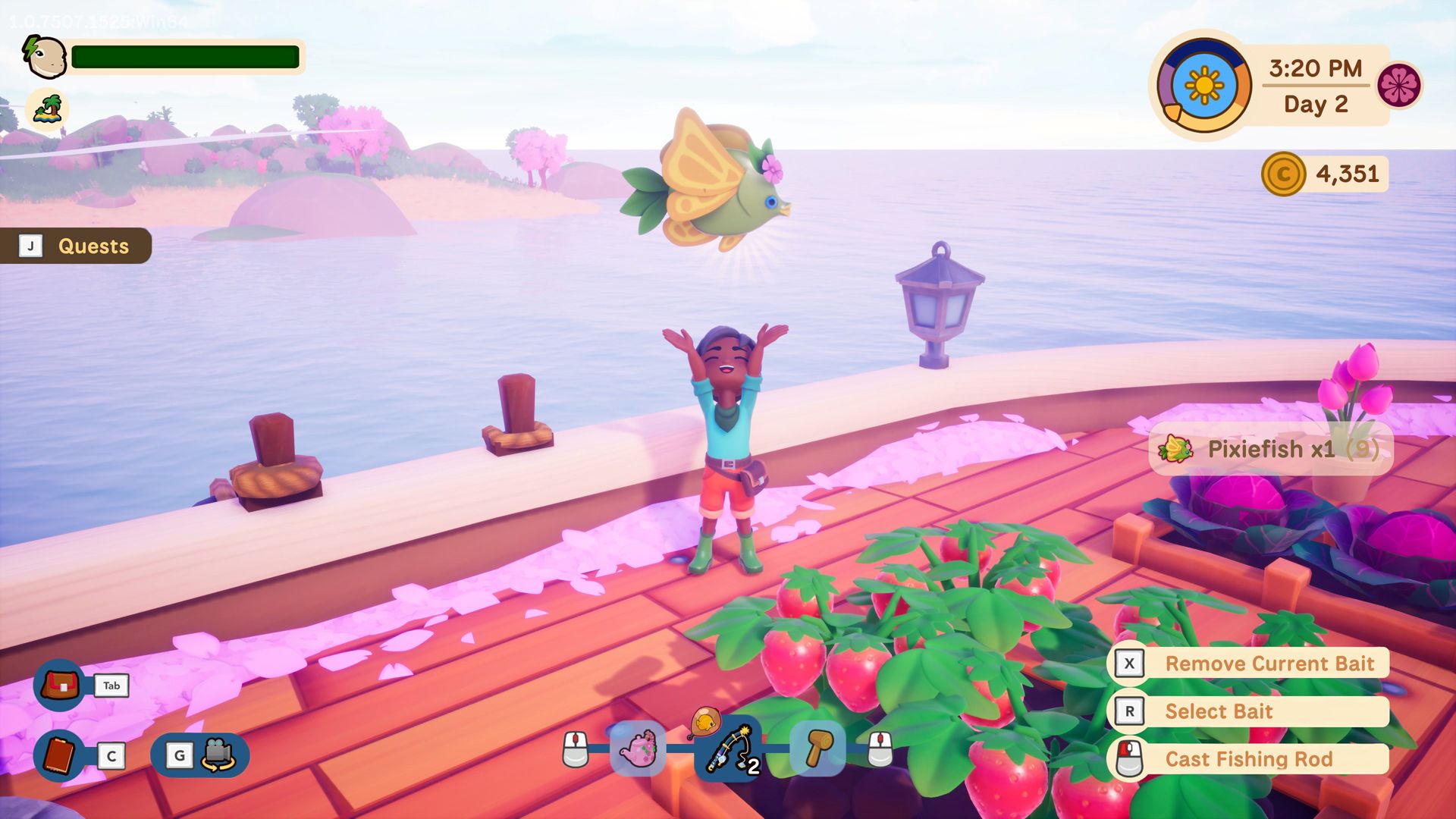 Collector's Cove review