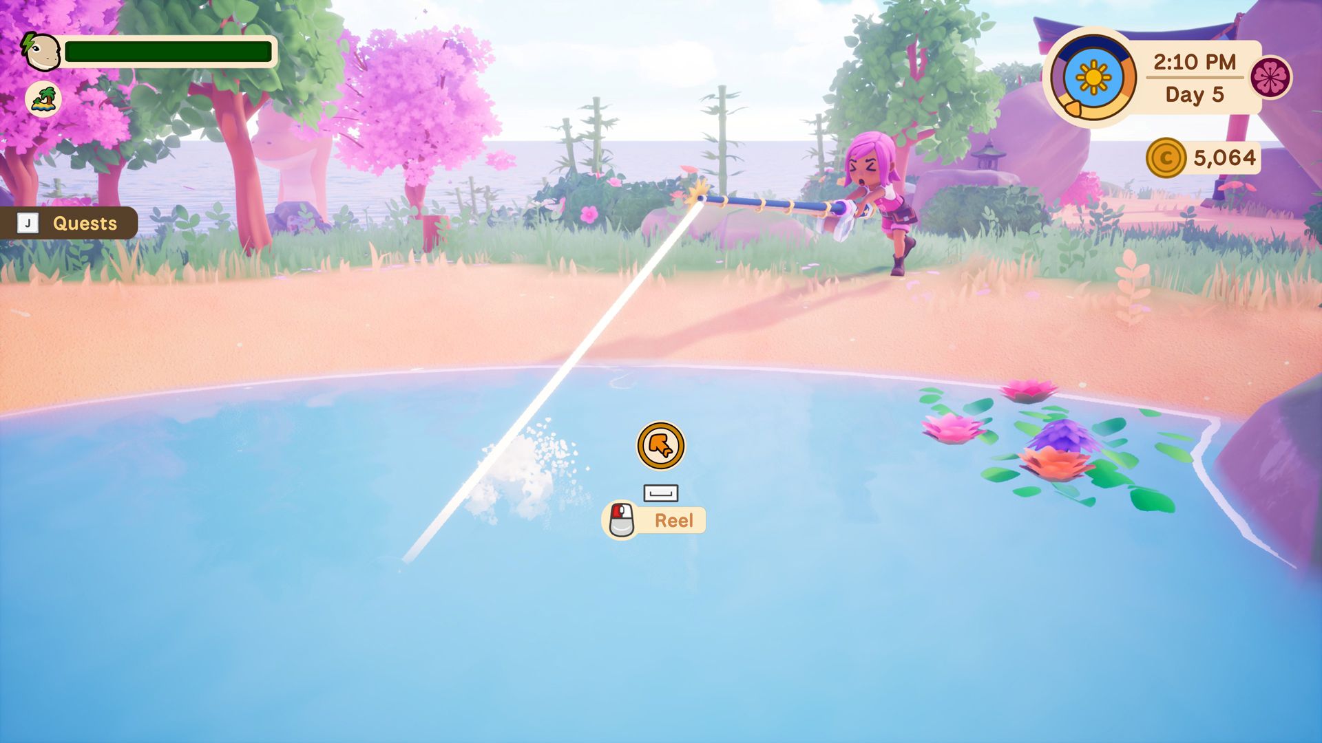 Collector's Cove review